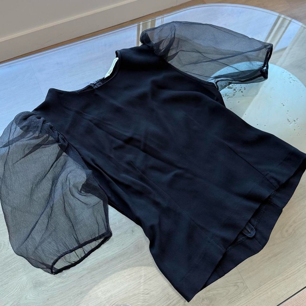 Zara Chiffon Blouse with Dramatic Sleeves